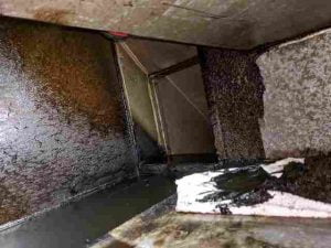 Duct Cleaning Brisbane Horror Story